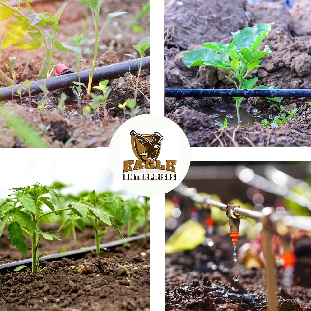 Drip Irrigation